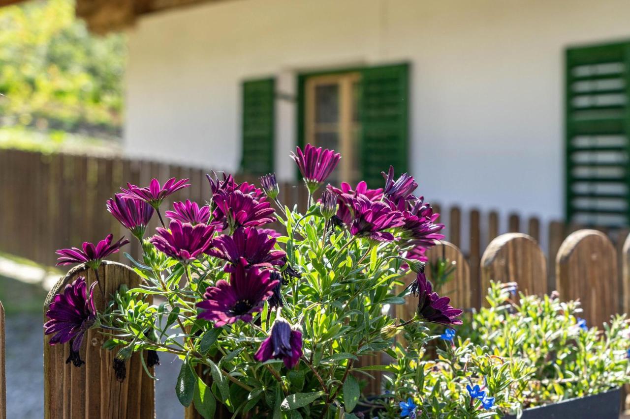 Ferienwohnung Brunjaunhof Schenna Dış mekan fotoğraf